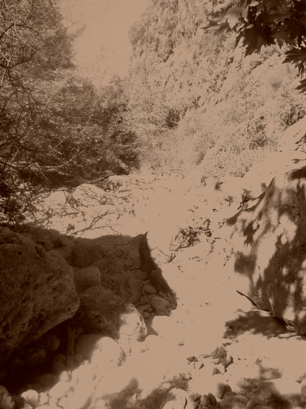 PICT2255.jpg