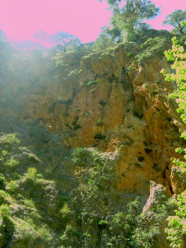PICT2267.jpg