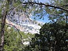 IMG_1117.jpg