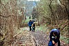 063.jpg